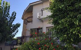 Nikola'S House